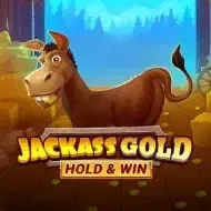 Jackass Gold Hold & WinNovomatic